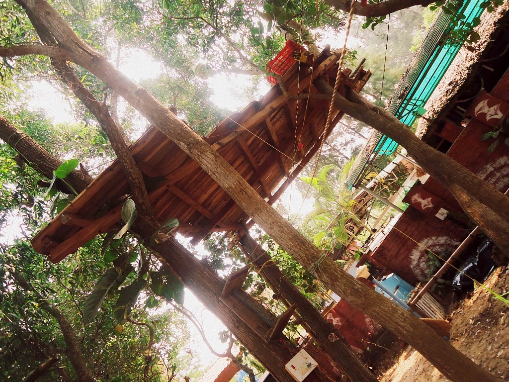 The treehouse in Rangers,  HQ of Surfing Yogis, one of my best places :)